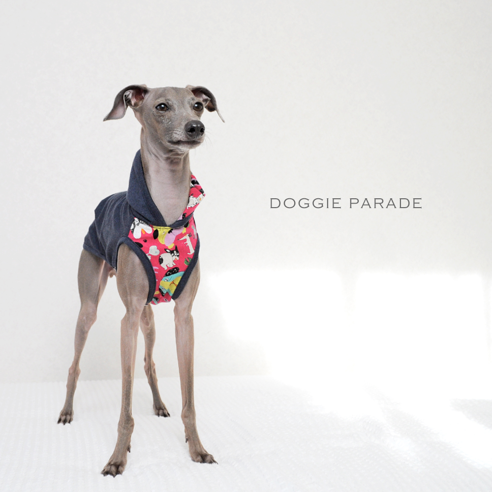 「新作犬服」春らしく明るく楽しくいこうよ！色々なワンちゃんが登場「わんわんパレード」