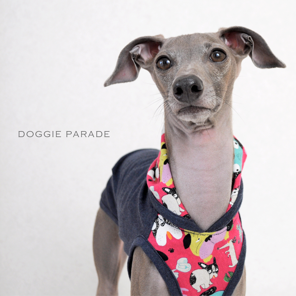 「新作犬服」春らしく明るく楽しくいこうよ！色々なワンちゃんが登場「わんわんパレード」