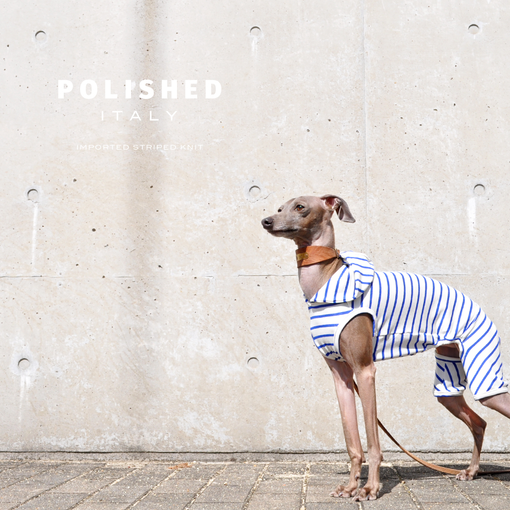 綺麗な発色と、絹のような光沢が特徴の上質なイタリア製生地を使用した「洗練されたイタリア製舶来ボーダーニット」