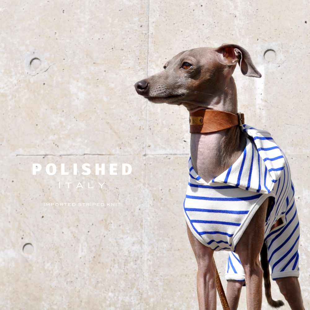 海沿いのカフェに行く!綺麗な発色と、絹のような光沢が特徴の上質なイタリア製生地を使用した「洗練されたイタリア製舶来ボーダーニット」を着て。