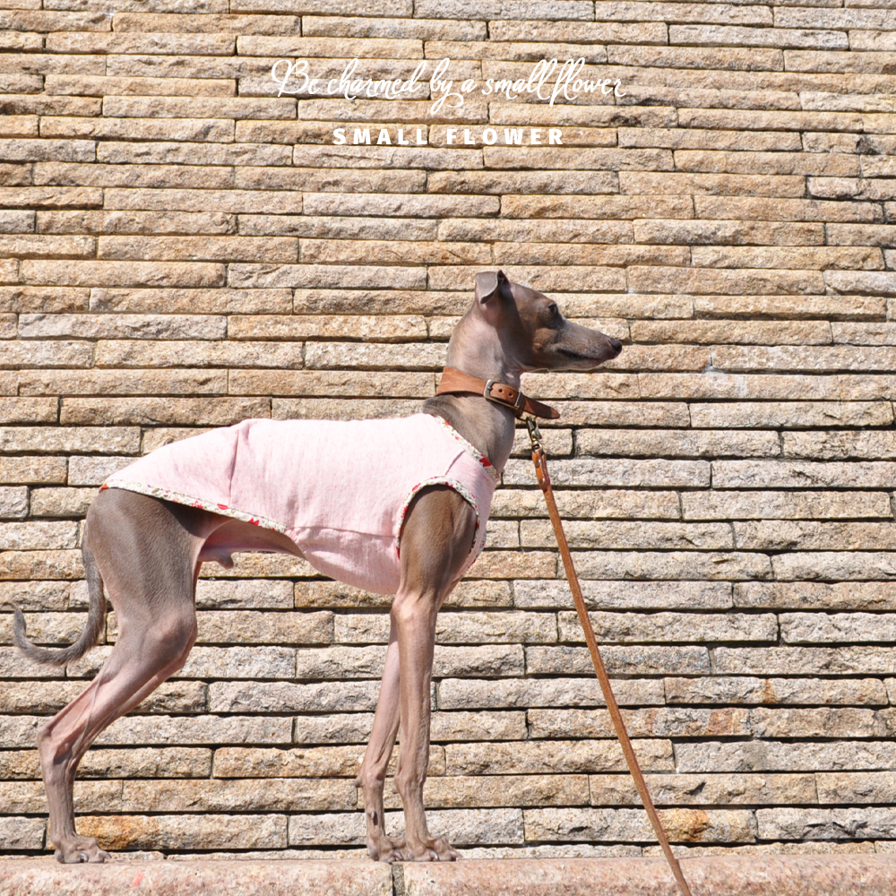 「春の新作」お花柄を着たいけど、少し照れちゃう男の子もにピッタリお洋服｜小さな花に魅せられて｜トレーナー薄手