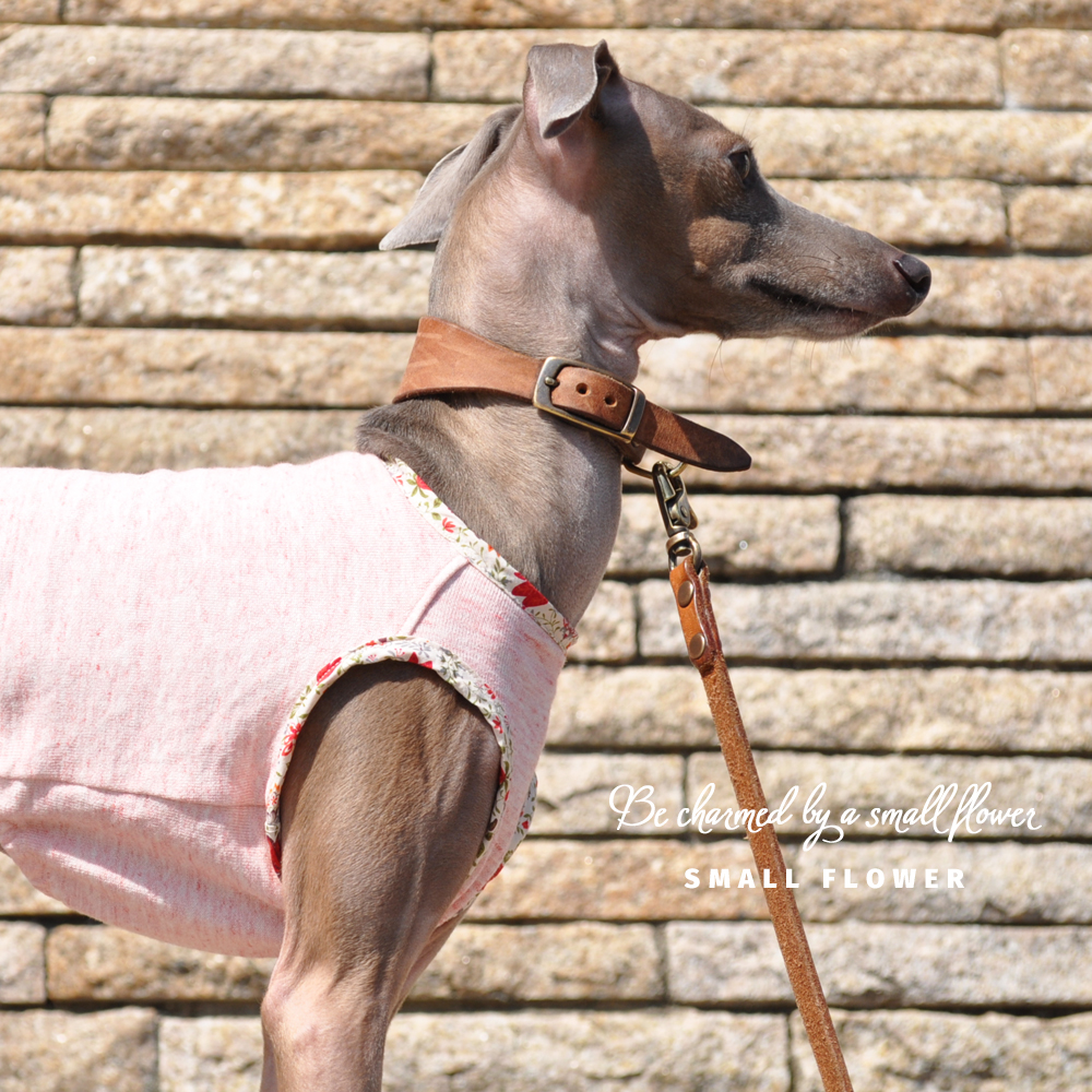 「春の新作」お花柄を着たいけど、少し照れちゃう男の子もにピッタリお洋服｜小さな花に魅せられて｜トレーナー薄手