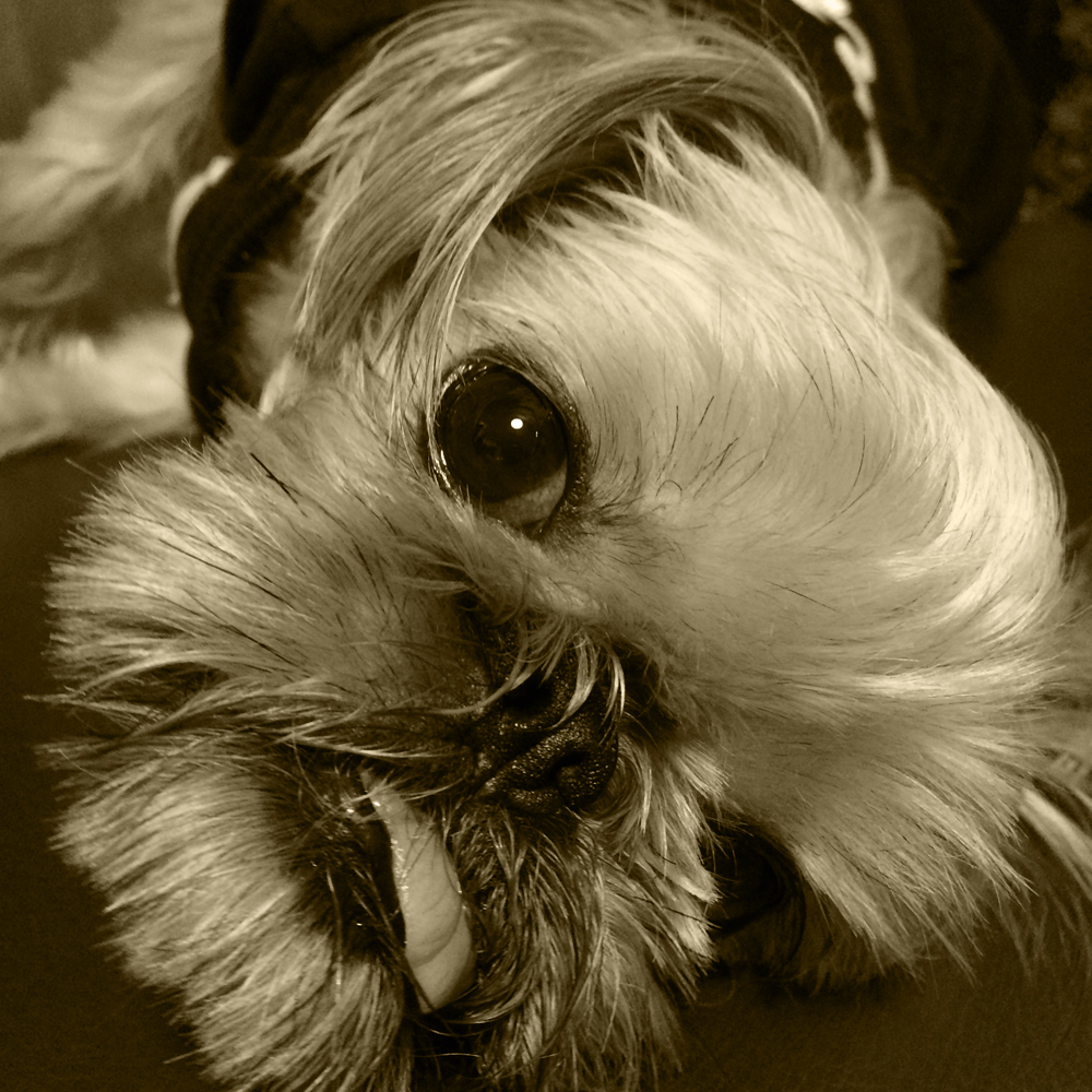 YOSHIE’S-COFFEE-TIME-沖縄旅