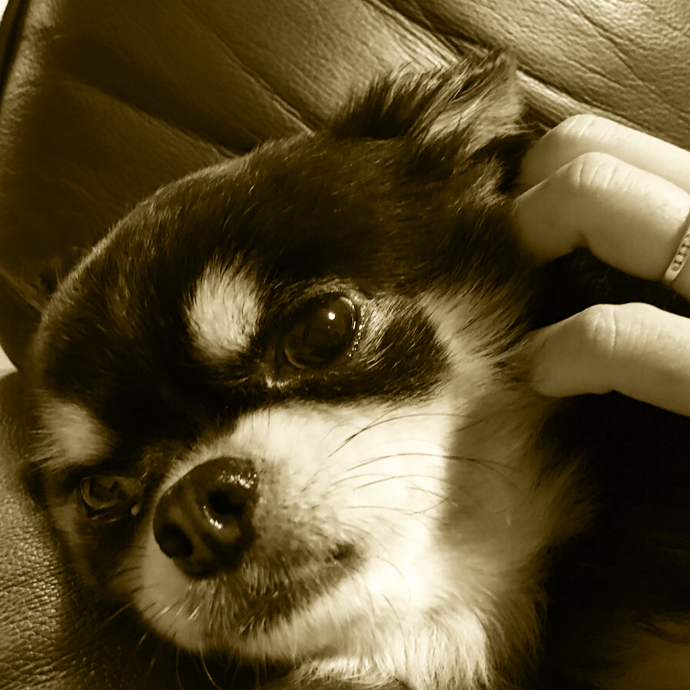 YOSHIE’S-COFFEE-TIME-沖縄旅