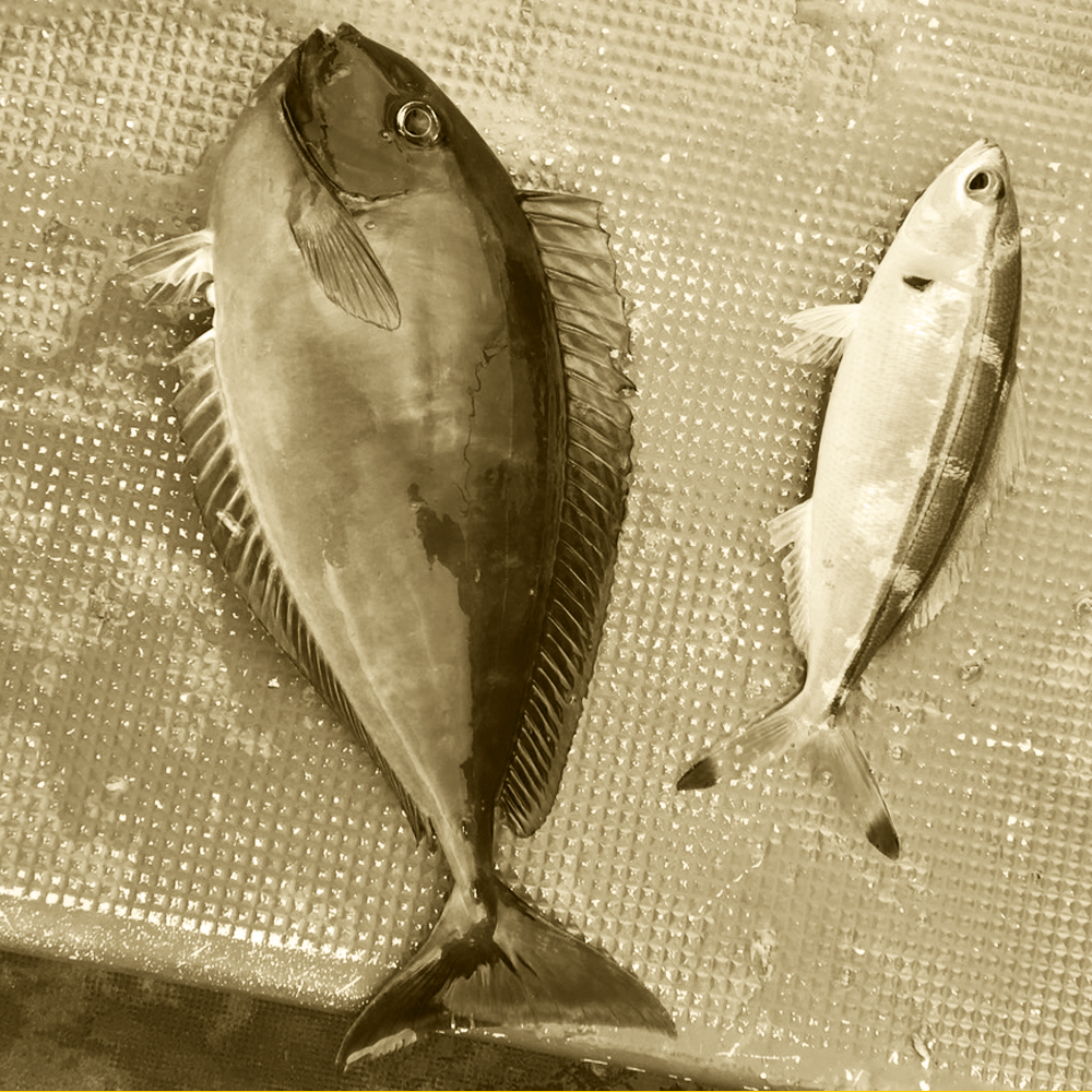 YOSHIE’S-COFFEE-TIME-沖縄旅