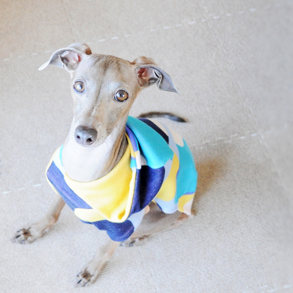 【ARATA HOUSEメルマガ Vol.80】"予告編"イタグレBuono!の最新ごはんレシピ｜2016/3/21発行