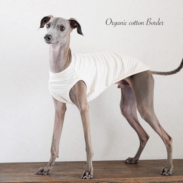 ARATA HOUSEの犬服は「ショート」「ハーフ」「スタンダード」「ロンパース」の4タイプから選べます