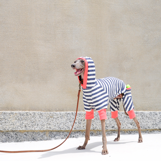 ARATA HOUSEの犬服は「ショート」「ハーフ」「スタンダード」「ロンパース」の4タイプから選べます