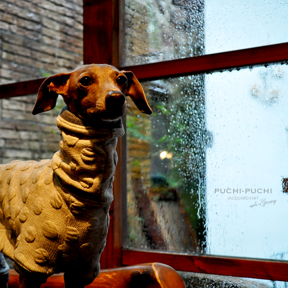 犬服｜PUCHI-PUCHI｜ドイツ製ジャガードニット｜選べる３タイプ