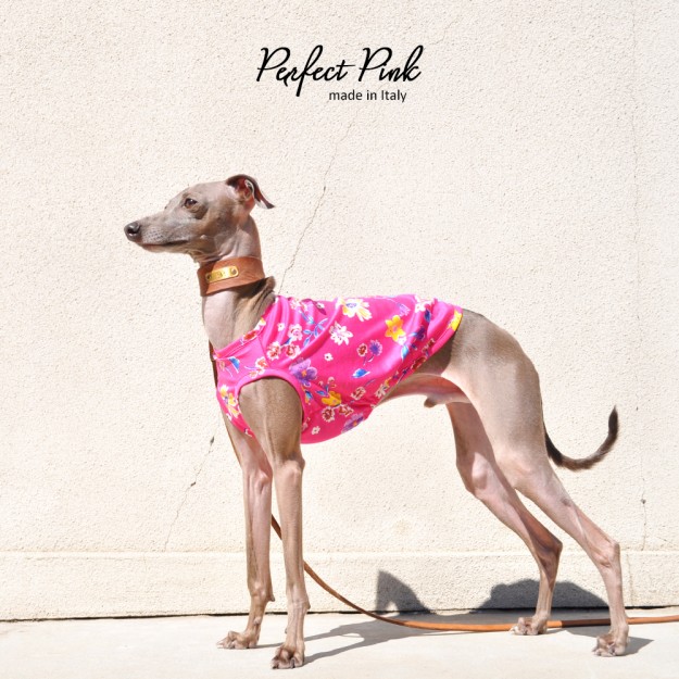 ARATA HOUSEの犬服は「ショート」「ハーフ」「スタンダード」「ロンパース」の4タイプから選べます