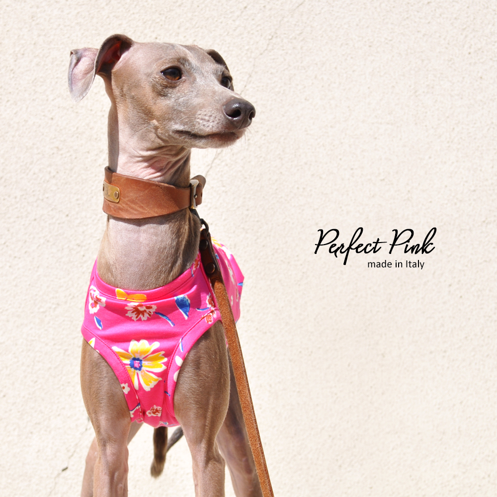 鮮やかなピンク。ポップで可愛いいお花柄のお洋服、それが「Perfect Pink」｜ハーフタイプも始まりました。