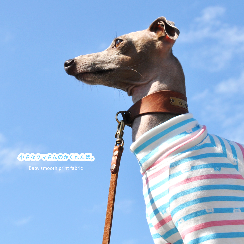 犬服｜小さなクマさんのかくれんぼ。｜選べる４タイプ×３カラー（そら/もも/しば）