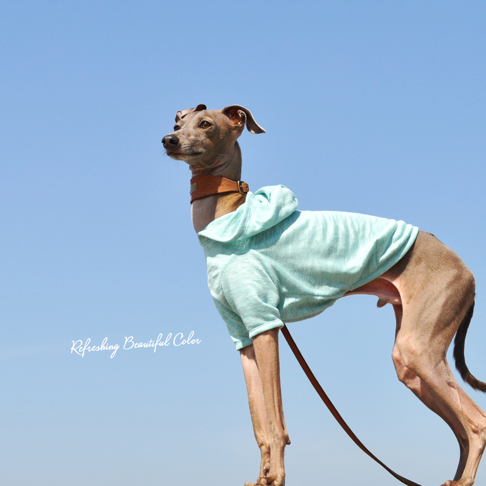 「イタグレ服&ミニピン服」よっちゃんお気に入りの生地「爽やかなキレイ色リネン天竺ニット」