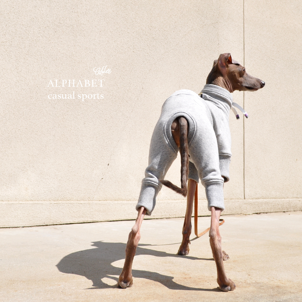 「Athlete（アスリート）デビュー」アルファベットカジュアルスポーツがよりスタイリッシュに！製作風景も公開中！