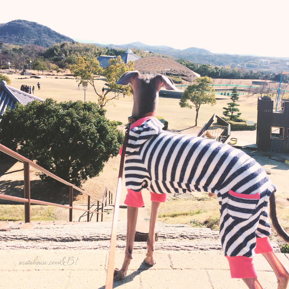 飯食って、寝て、起きて、芝行って、海見て、また寝る。