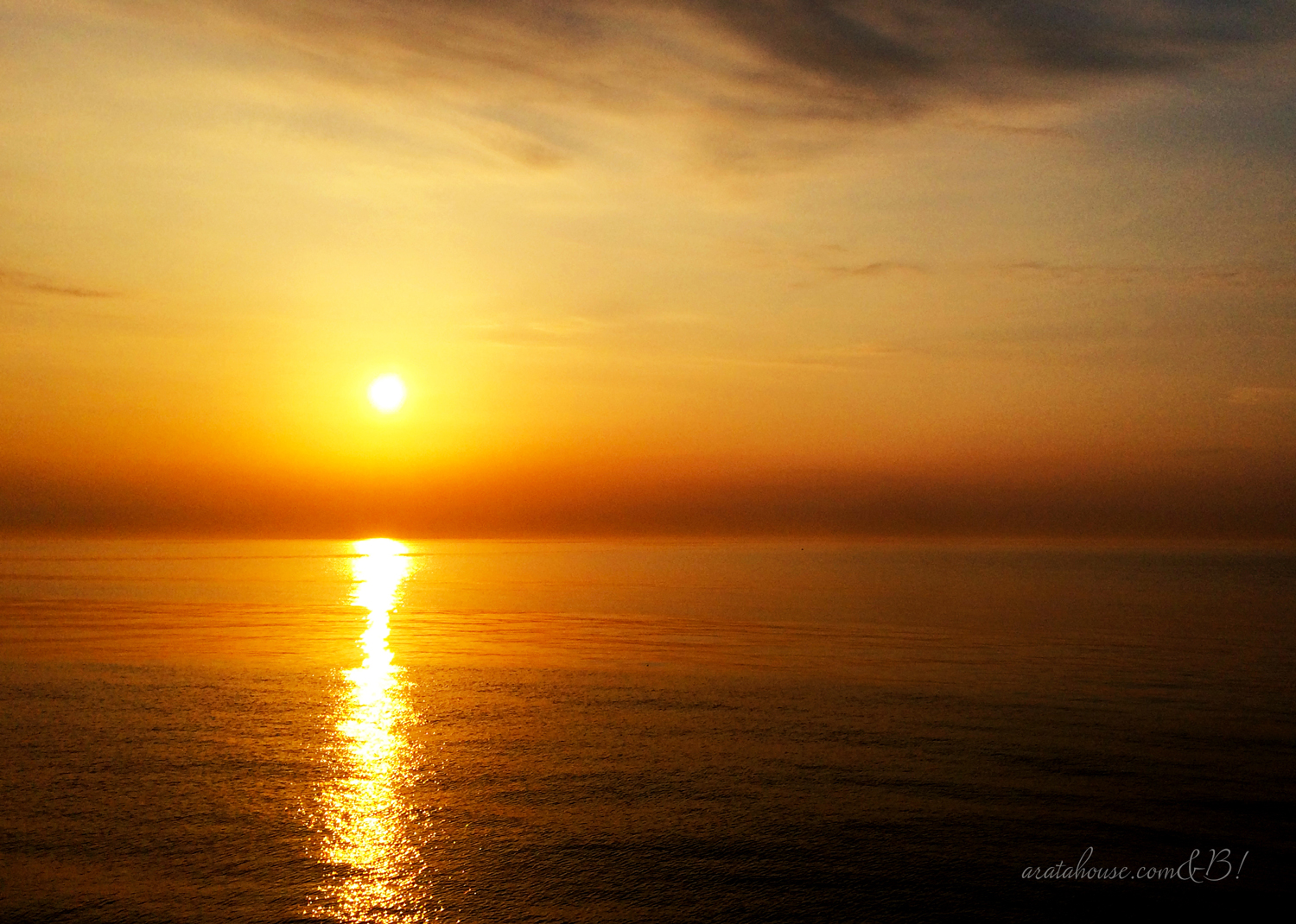 夕陽に照らされたよっちゃんとイタグレBuono!