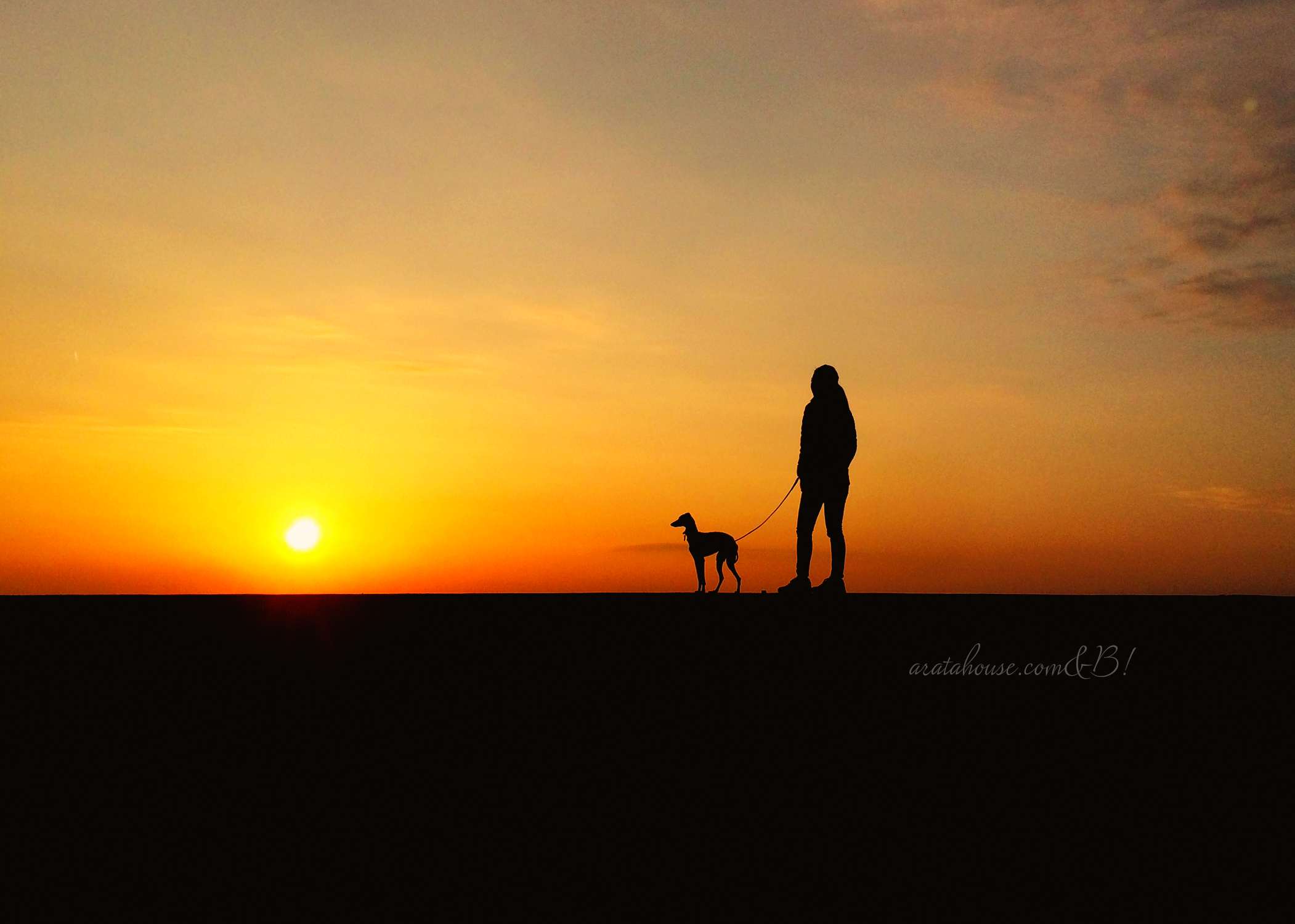 夕陽に照らされたよっちゃんとイタグレBuono!