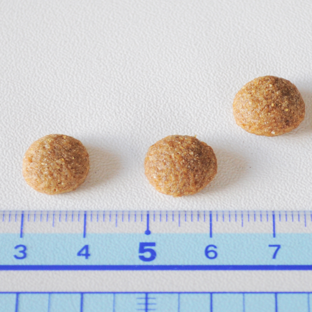 【ARATA HOUSEメルマガ Vol.81】「ドライフードの選び方」イタグレBuono!のごはん事情|2016/3/28発行