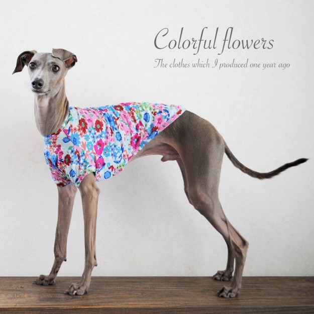 ARATA HOUSEの犬服は「ショート」「ハーフ」「スタンダード」「ロンパース」の4タイプから選べます