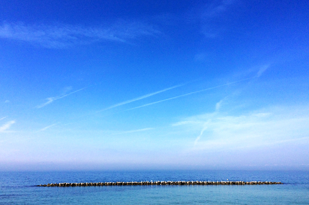 4月1日に感じたこと。「海・空・太陽・雲・桜・チューリップ・名を知らぬ花」