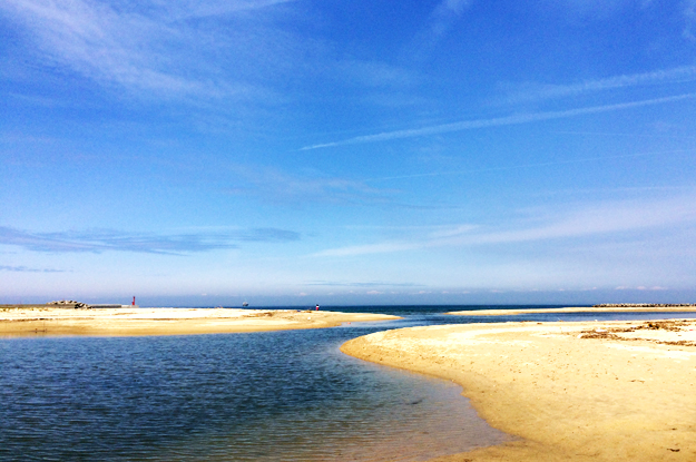 4月1日に感じたこと。「海・空・太陽・雲・桜・チューリップ・名を知らぬ花」