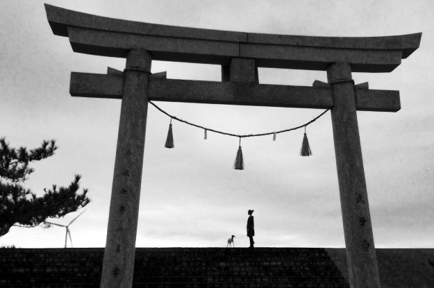 4月1日に感じたこと。「海・空・太陽・雲・桜・チューリップ・名を知らぬ花」