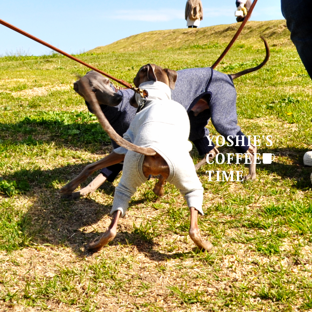 YOSHIE’S-COFFEE-TIME-おなかピーポー