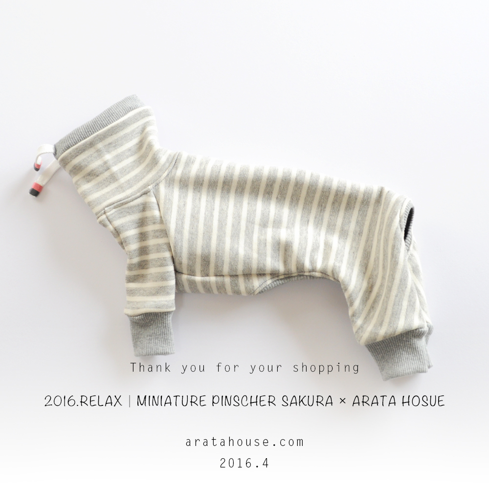 製作した犬服のご紹介 FASHION SHOW 001｜「カラフル」「シンプルボーダー」「RELAX」