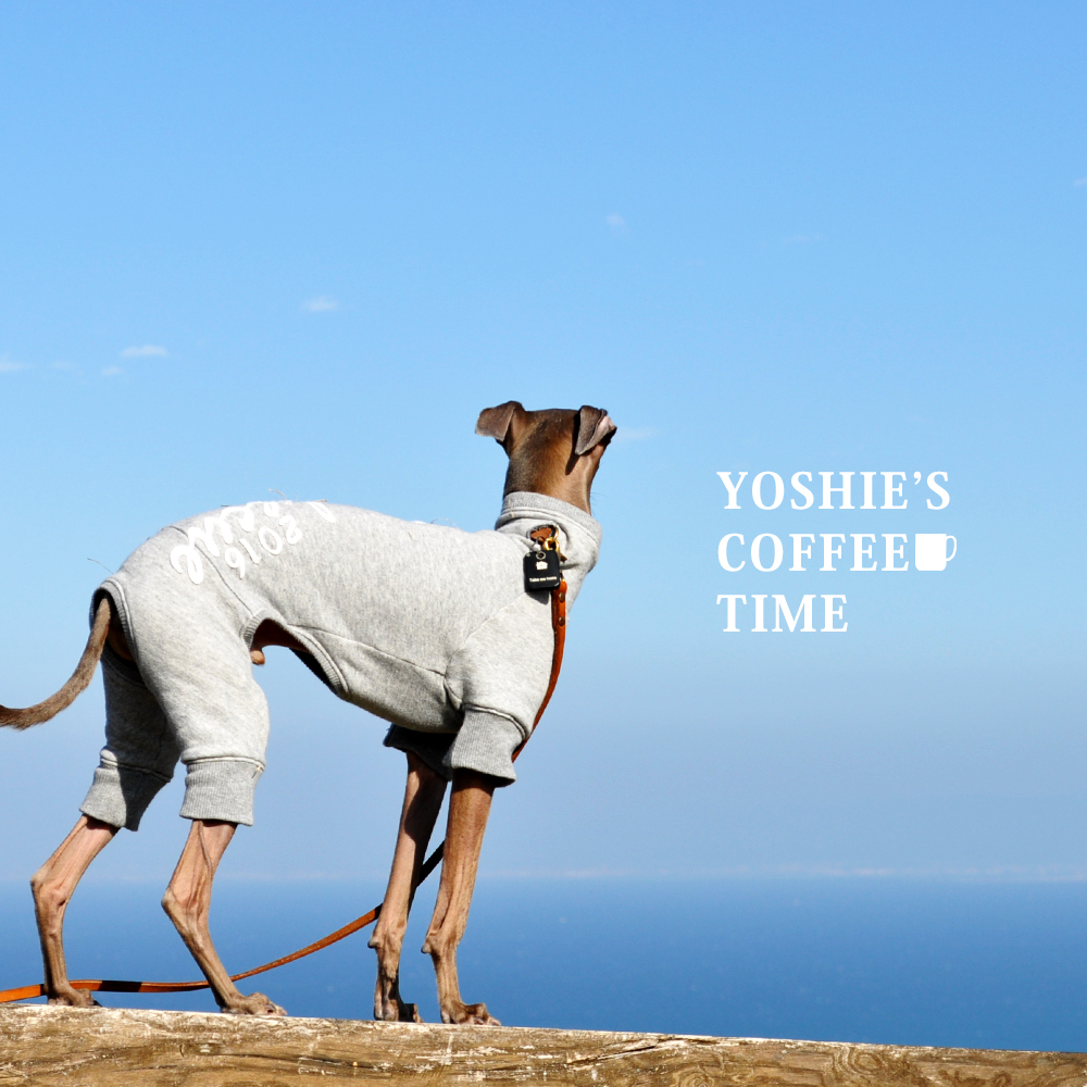 YOSHIE’S-COFFEE-TIME-おなかピーポー