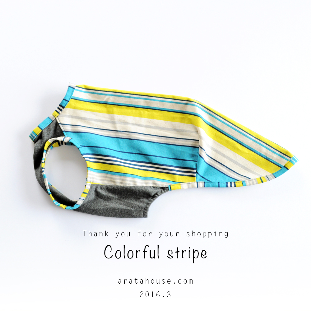 製作した犬服のご紹介 FASHION SHOW 001｜「カラフル」「シンプルボーダー」「RELAX」