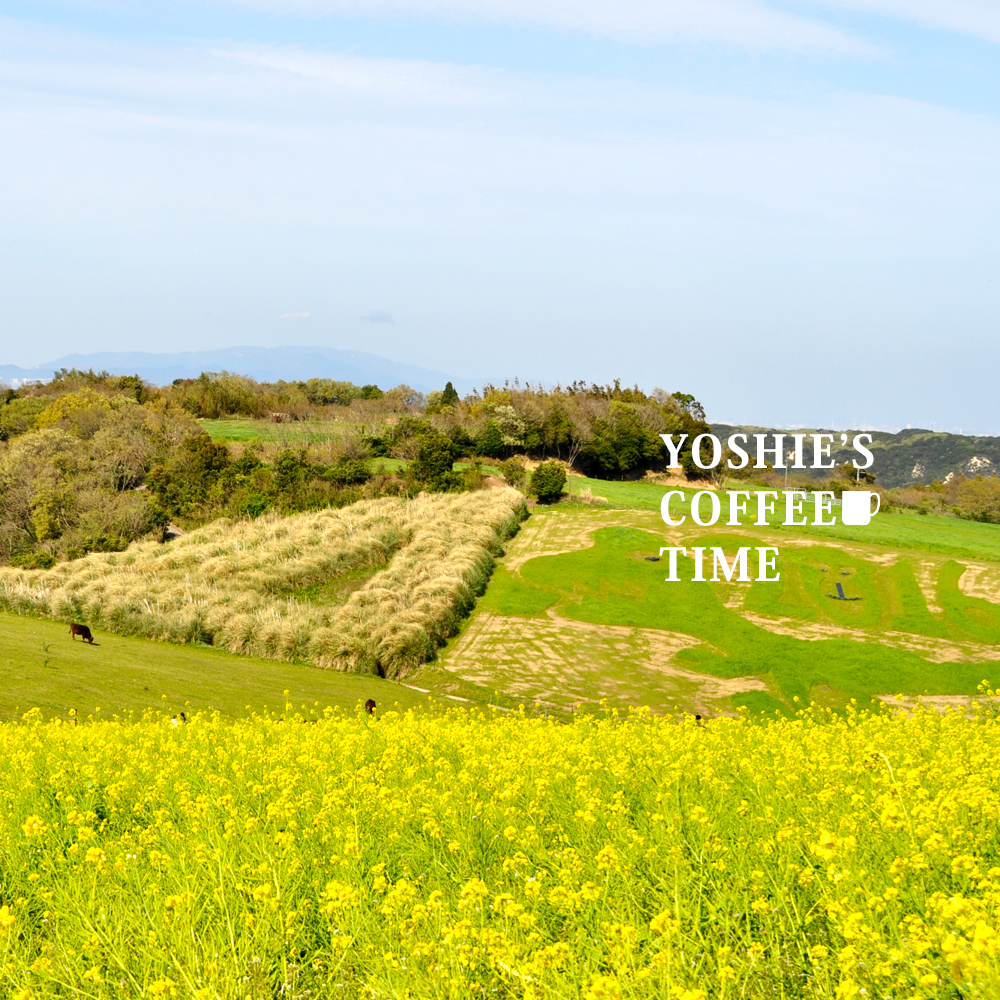 YOSHIE’S-COFFEE-TIME-おなかピーポー