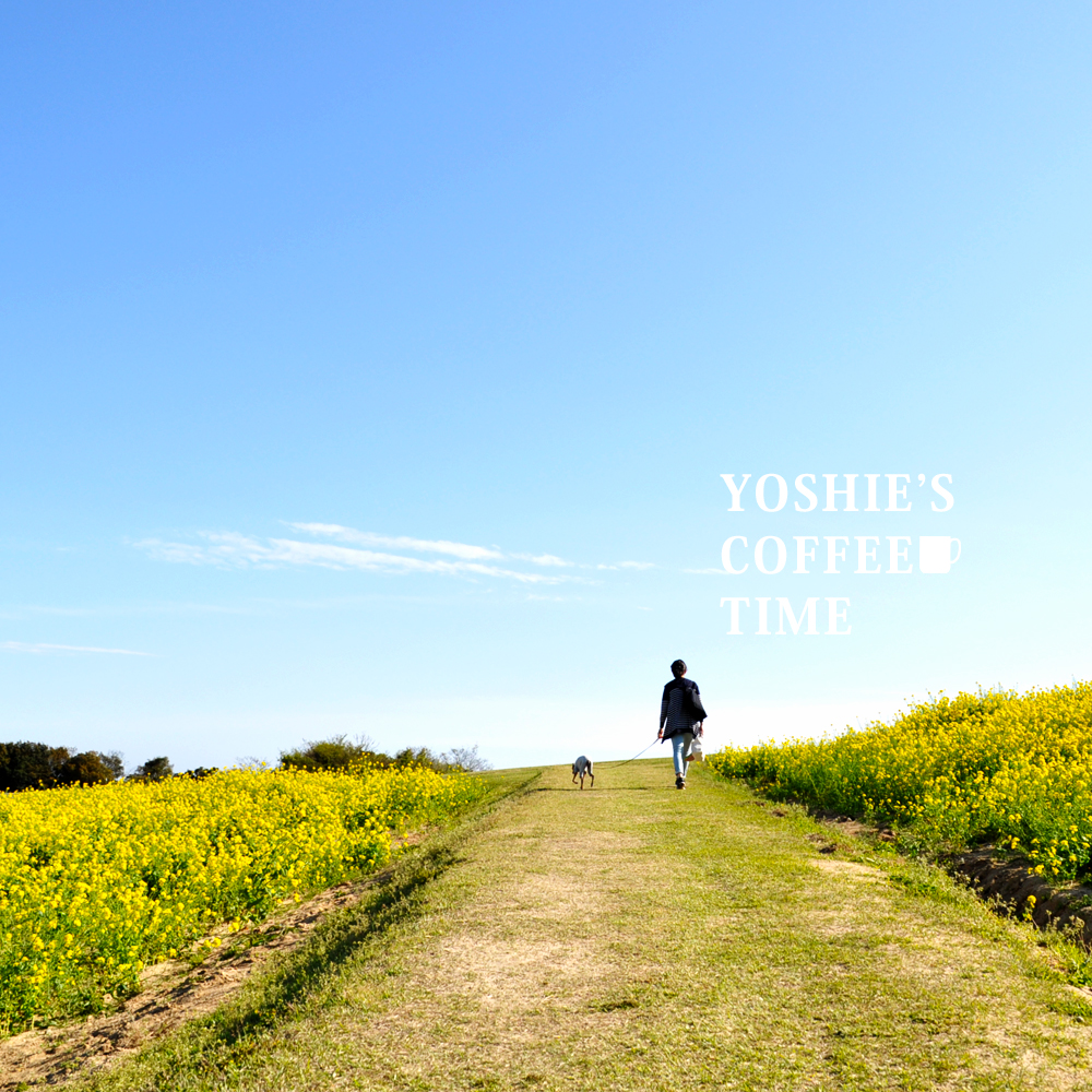 YOSHIE’S-COFFEE-TIME-おなかピーポー