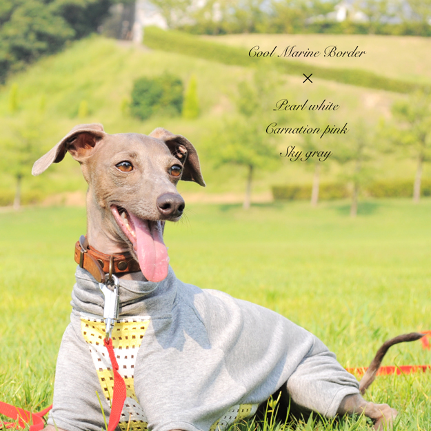 製作した犬服のご紹介 FASHION SHOW 002｜「カンガルーポケットのスター☆ウエア」「杢天竺ボーダーニット」「Cool Marine Border」