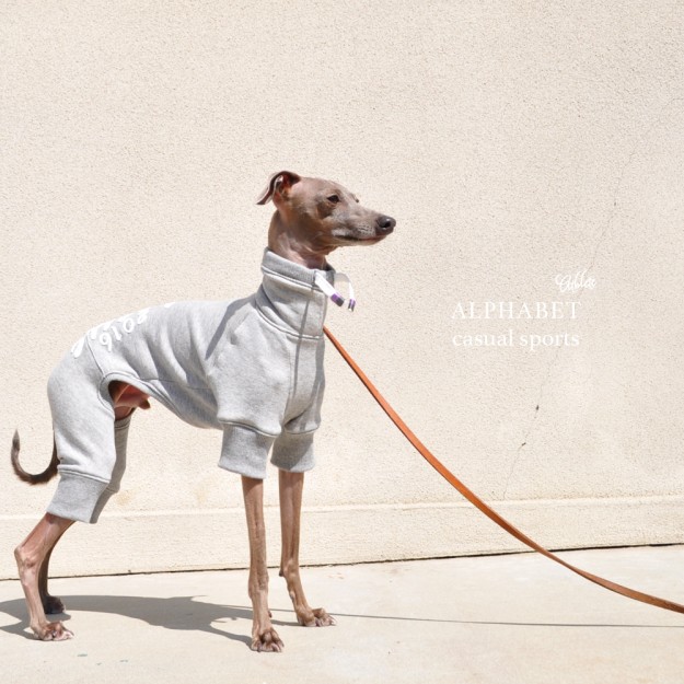 犬服｜Alphabet casual sports Athlete｜選べる４タイプ×３カラー（Grey/Red/Navy）