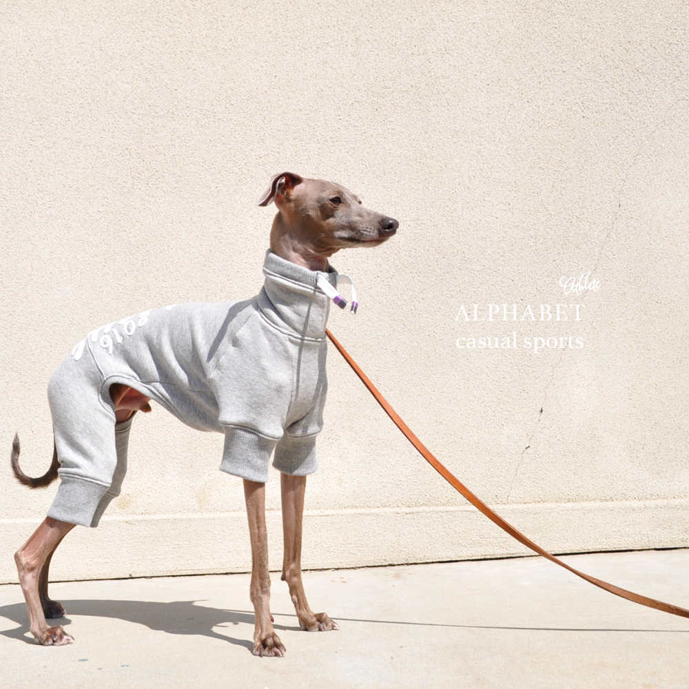 犬服｜Alphabet casual sports Athlete｜選べる４タイプ×３カラー（Grey/Red/Navy）