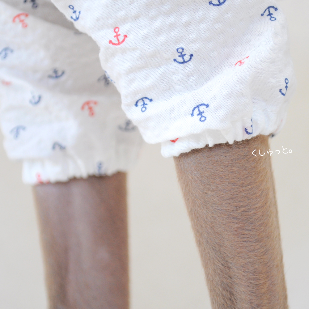 犬服｜くしゅっと。かわいいアンカー｜リップルプリント｜選べる３タイプ×２カラー（ホワイト/ネイビー）