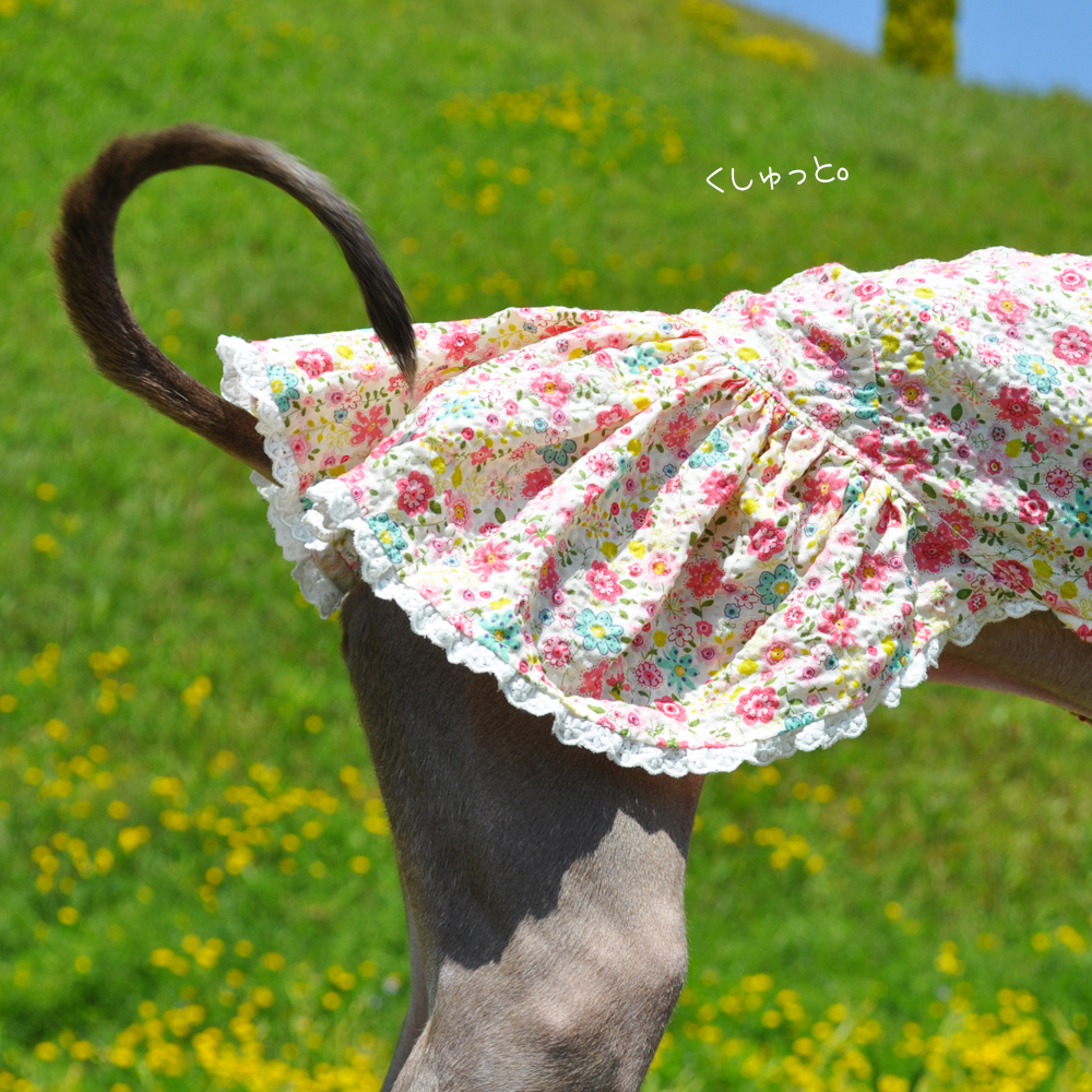 犬服｜くしゅっと。かわいいお花｜リップルプリント｜選べる３タイプ