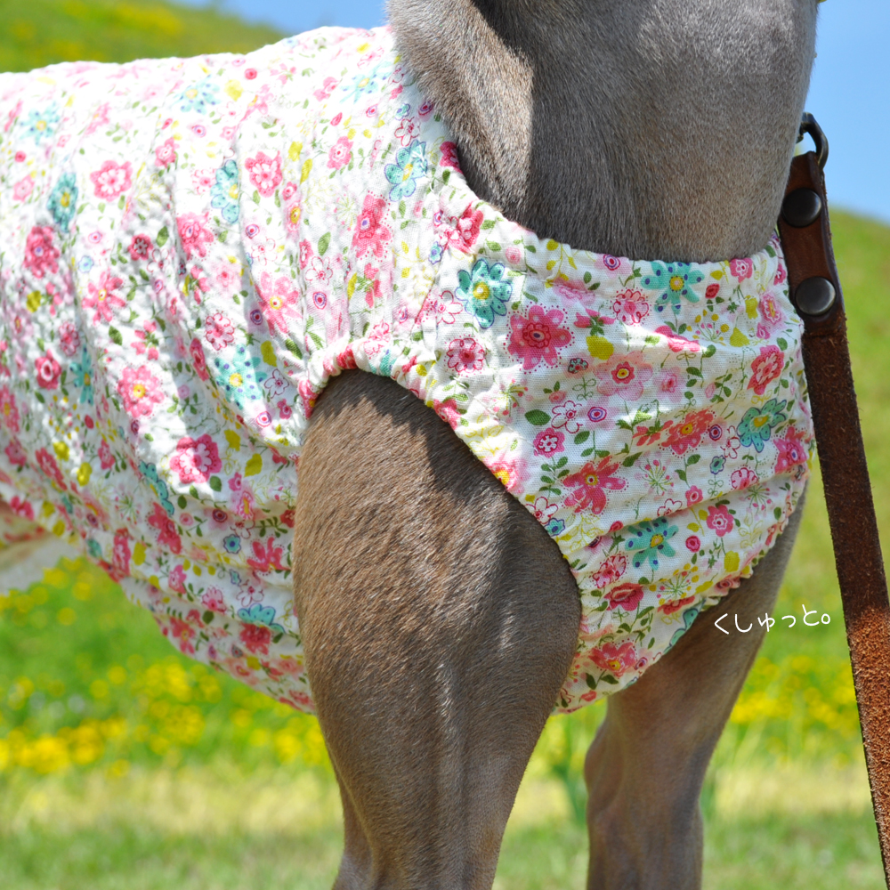 犬服｜くしゅっと。かわいいお花｜リップルプリント｜選べる３タイプ