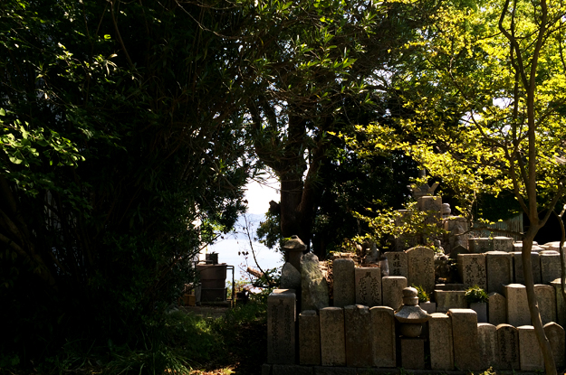 5月1日に感じたこと。「いつもが」