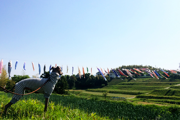 5月1日に感じたこと。「いつもが」