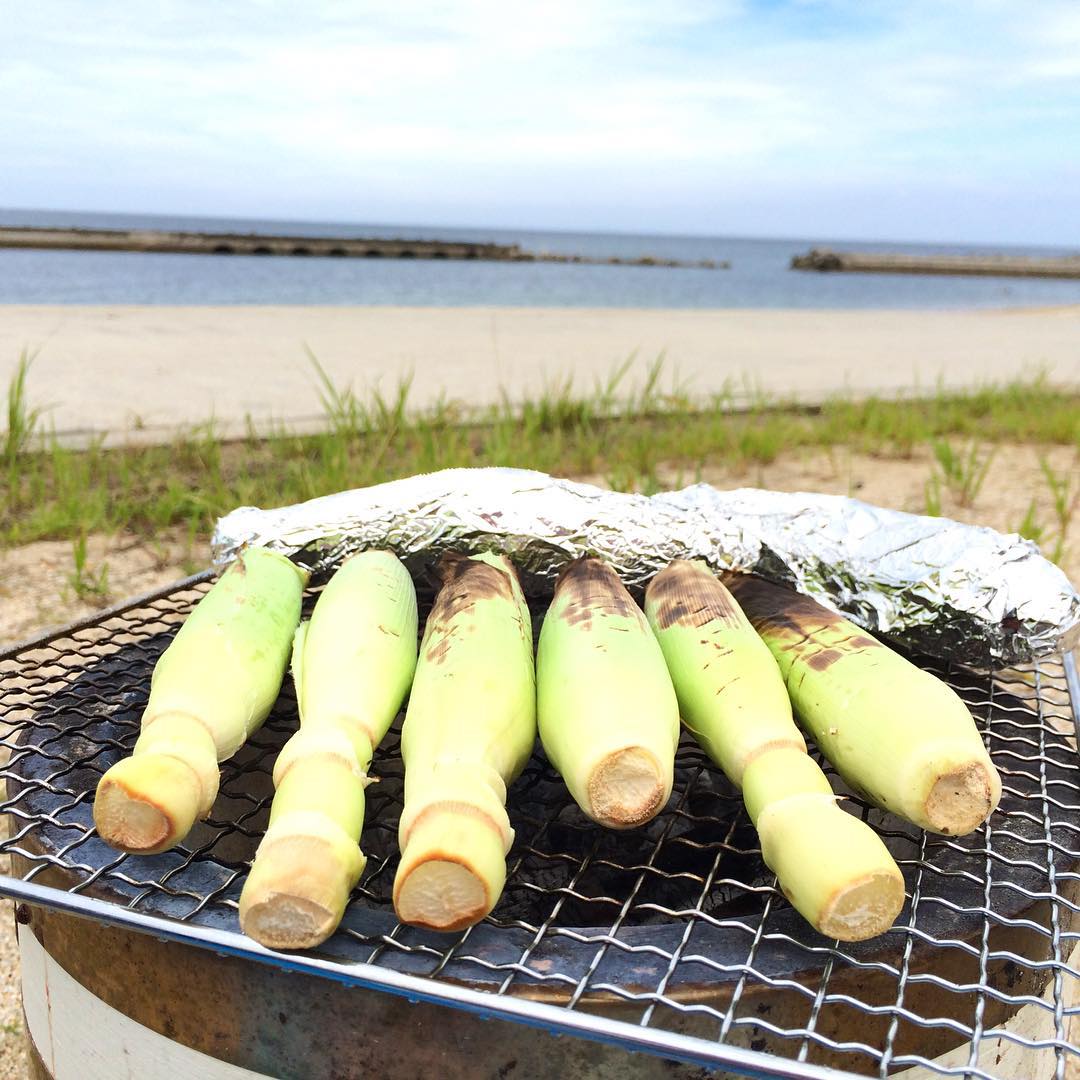 淡路島、BBQ、ビーチ、海、イタグレ、七輪、夏