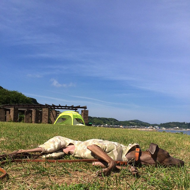 淡路島、BBQ、ビーチ、海、イタグレ、七輪、夏