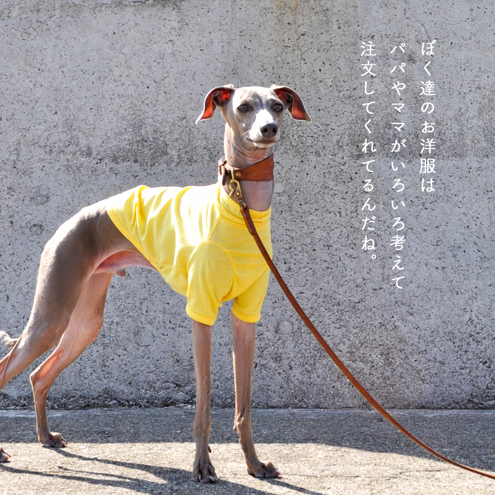 「犬服、犬寝袋の発送日に関して」2016年5月11日以降のご注文(ご入金)分に関して、商品発送までの日数を30営業日から45営業日に変更します