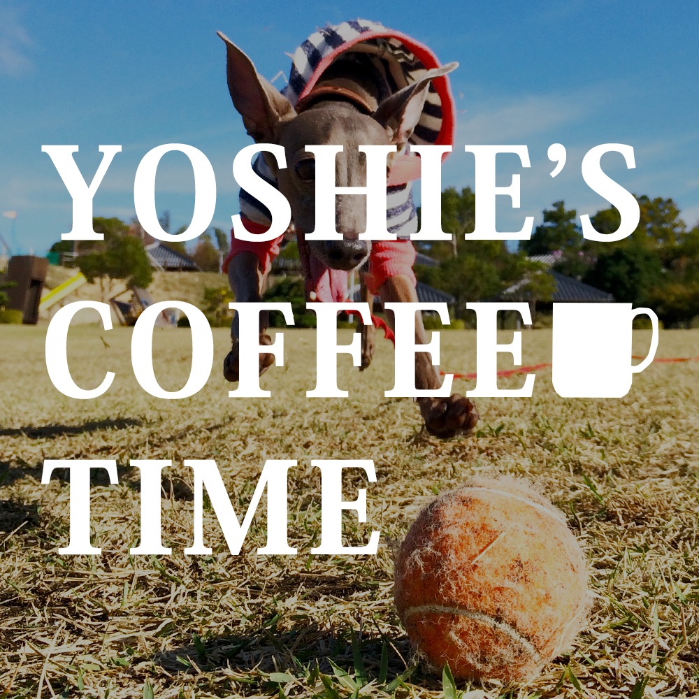 私の大失態から生まれた夫婦の約束事(愛犬編)-YOSHIE’S-COFFEE-TIME