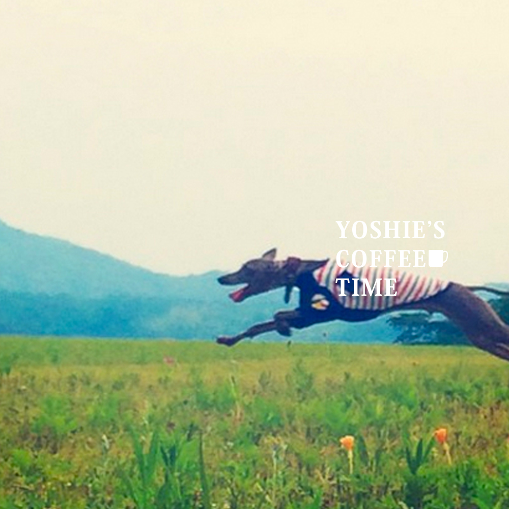 YOSHIE’S-COFFEE-TIME-30代の夫婦（結婚5年目）と、愛犬が淡路島に移り住んだ理由