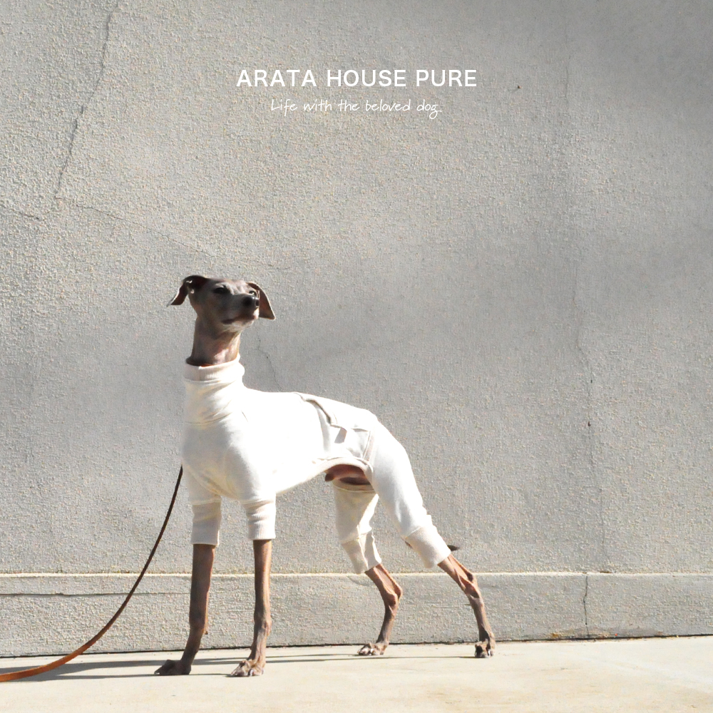私と最愛の犬の暮らしの中にある服|ARATA HOUSE PURE