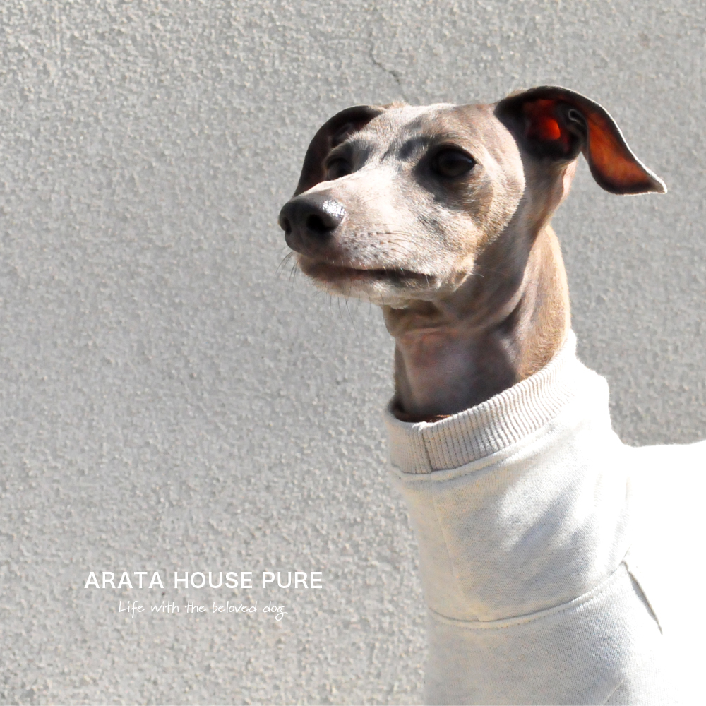 私と最愛の犬の暮らしの中にある服｜ARATA HOUSE PURE
