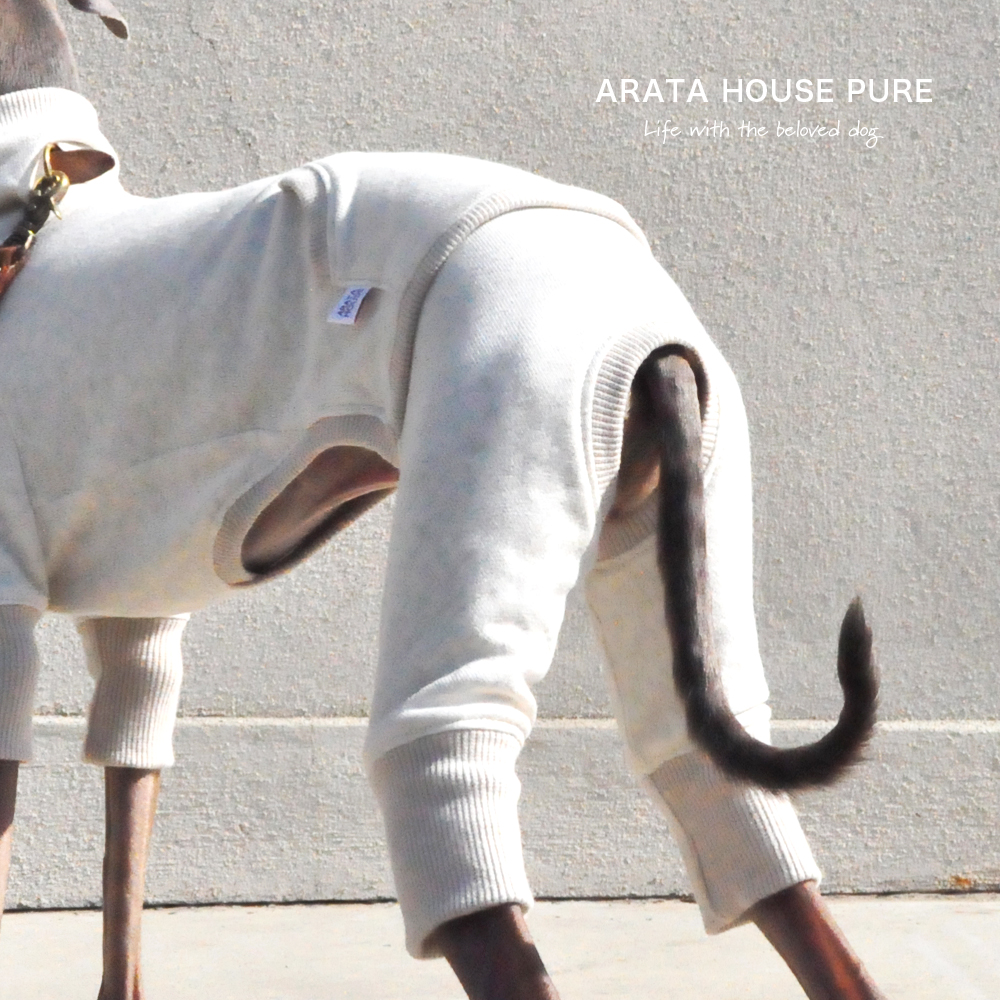私と最愛の犬の暮らしの中にある服｜ARATA HOUSE PURE