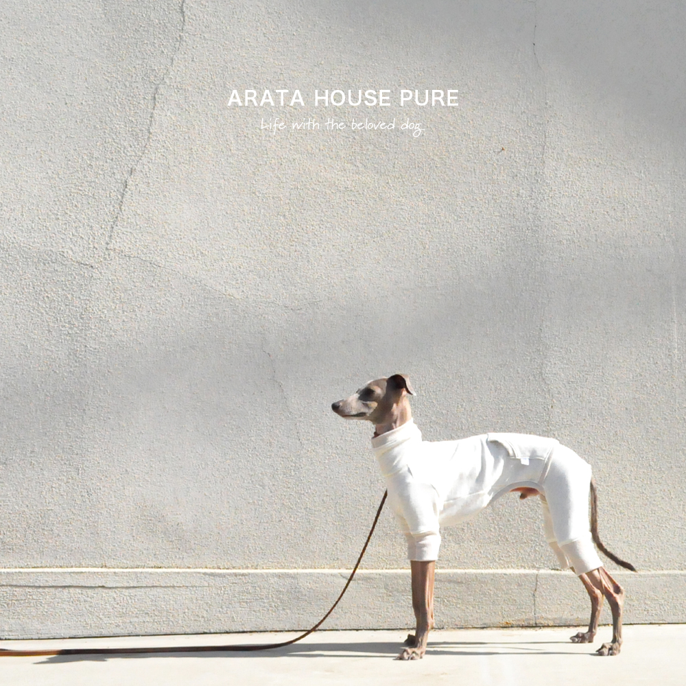 私と最愛の犬の暮らしの中にある服｜ARATA HOUSE PURE