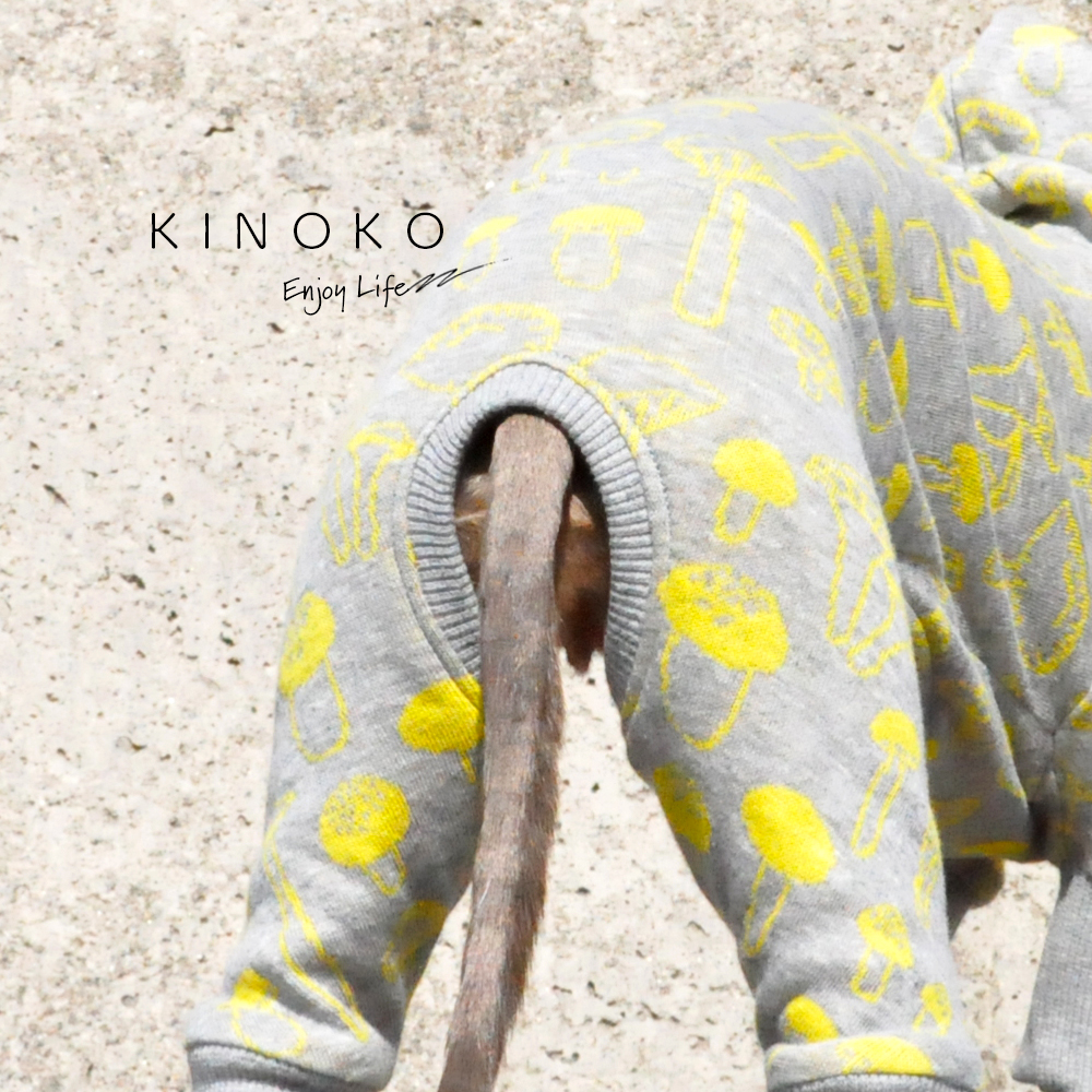 犬服|KINOKO|ジャガードニット|選べる4タイプ×3カラー(Yellow/Green/Navy)